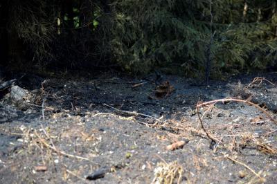 150 mÂ² Wald brannten in Murrhardt-Karnsberg